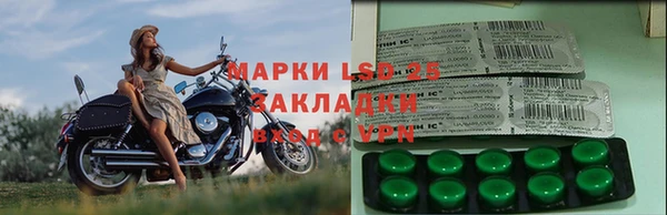 ешки Аркадак