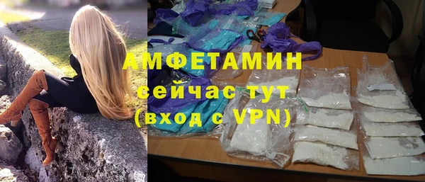 ешки Аркадак