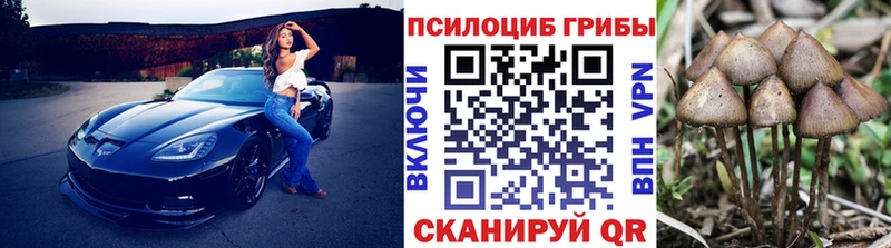 Галлюциногенные грибы ЛСД Купить где Инсар